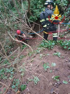 6d44eaf4 E7ca 4e7c 9d18 29776917c2aewtmk