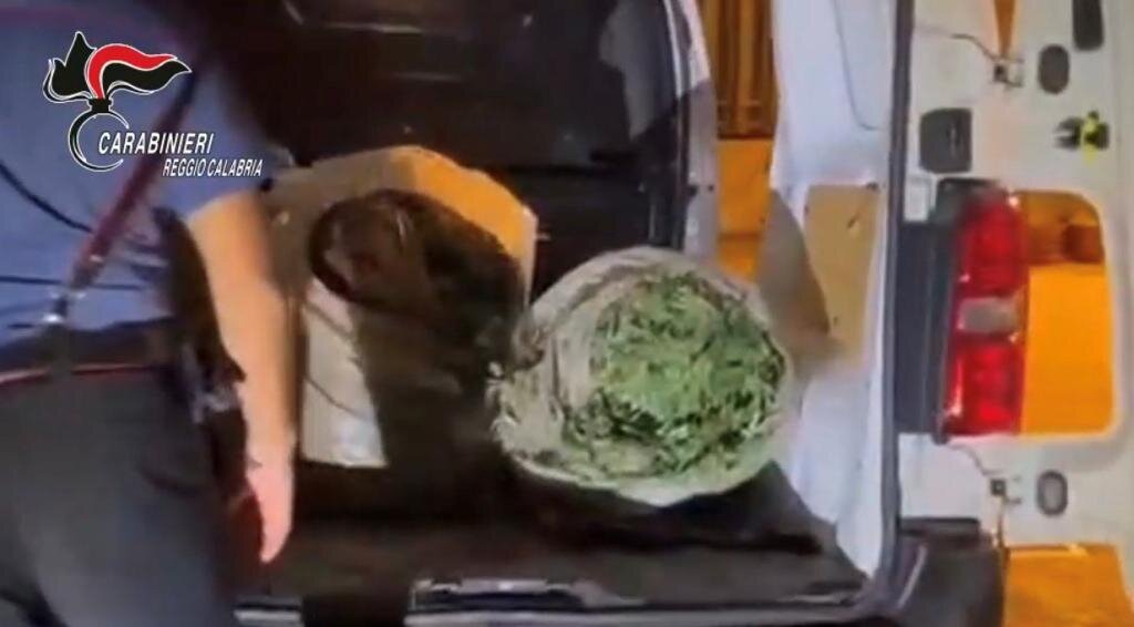 Carabinieri Marijuana