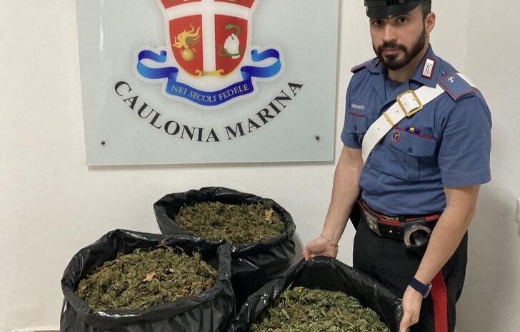 Caulonia Sequestro Marijuana