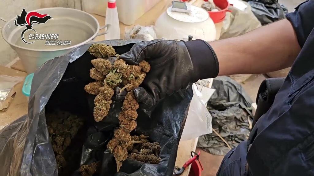 Marijuana Carabinieri 4