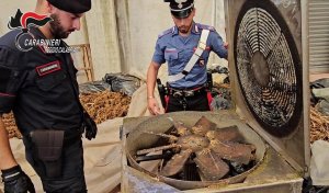 Marijuana Carabinieri