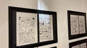 Mostra Topolino Cosenza 1