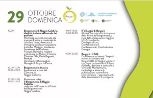 Programma Bergare 3