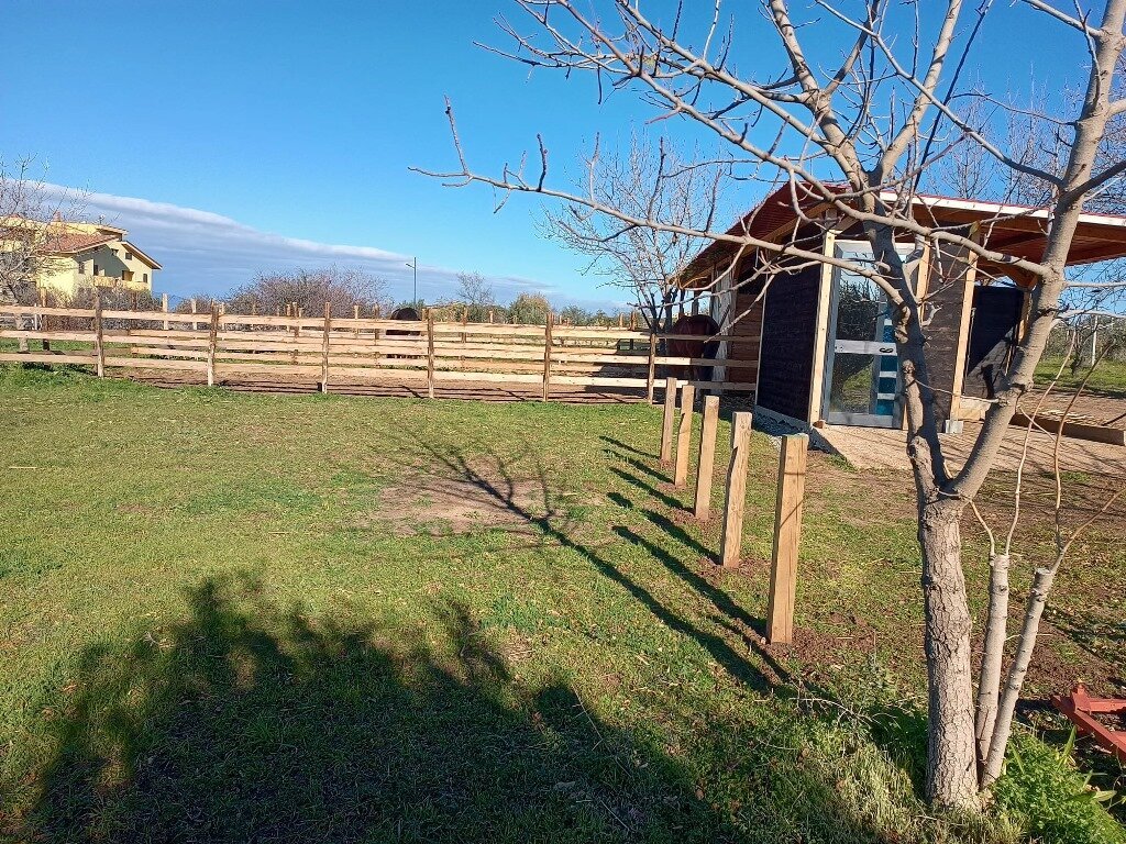 UniRC Azienda Agraria1