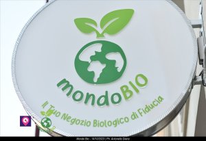 Mondo Bio 89