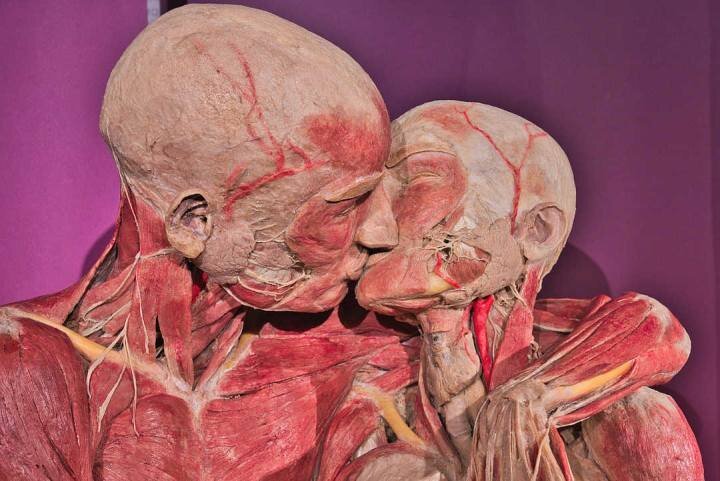 Mostra Real Bodies