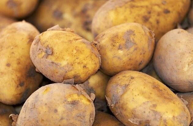 Patata