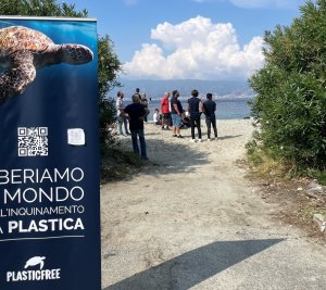 Plastic Free Catona 6