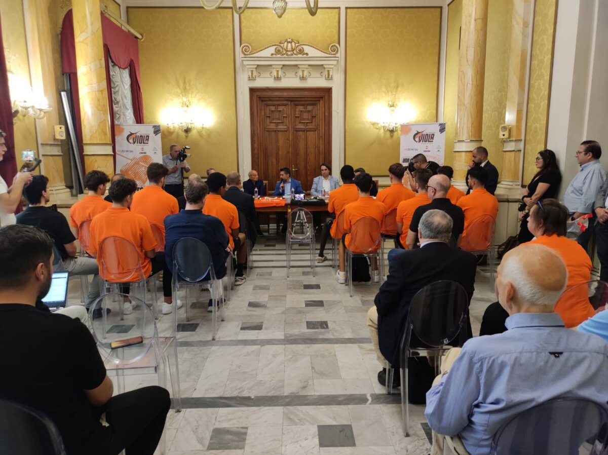 Presentazione Viola 1