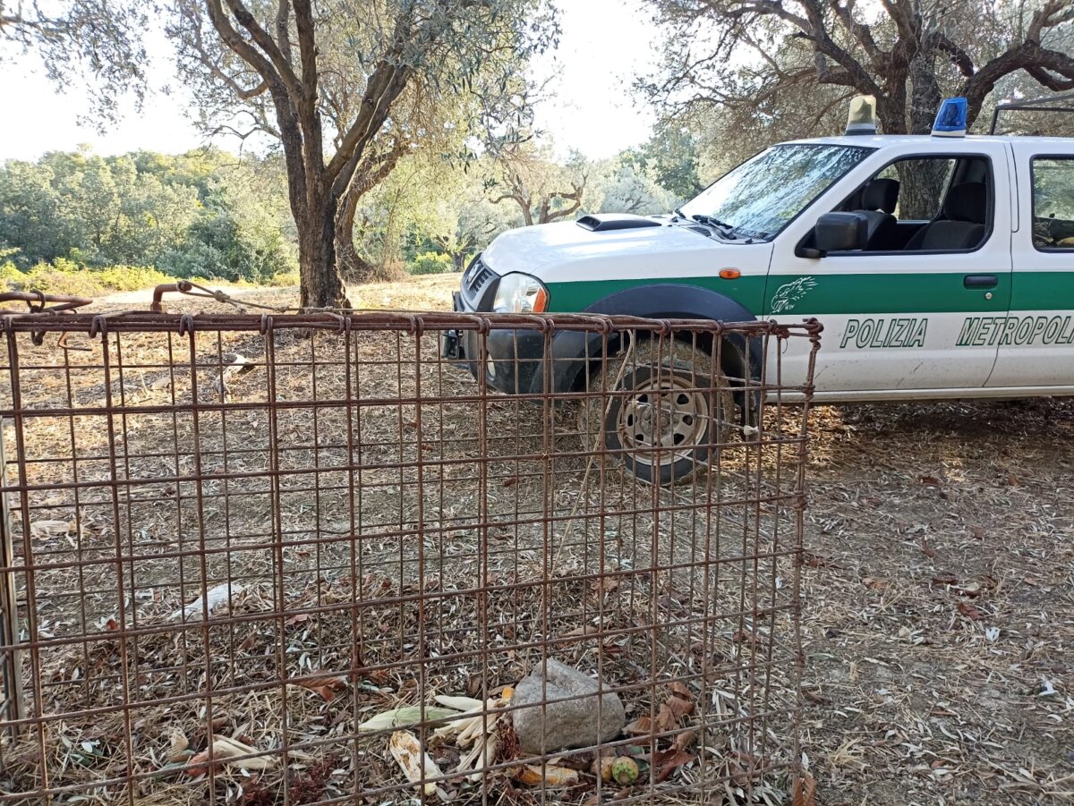 Sequestro Polizia Metropoliana 1
