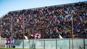 Tifosi Ultras Reggina Lfa Reggio (5)