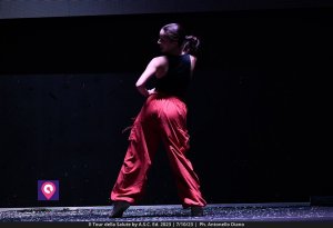 Tour Della Salute Asc (158)