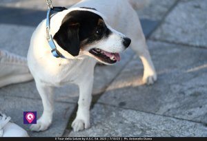 Tour Della Salute Asc (46)