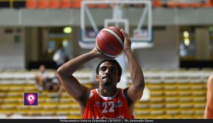 Viola Orlandina (101)