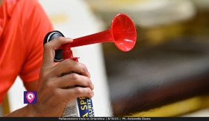 Viola Orlandina (108)