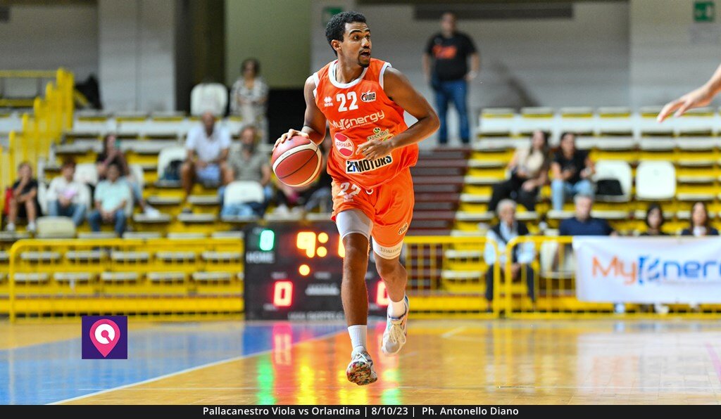 Viola Orlandina (11)