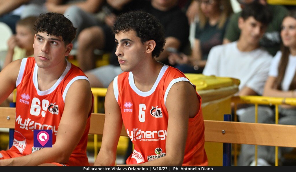 Viola Orlandina (110)