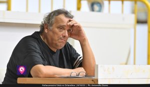 Viola Orlandina (115)