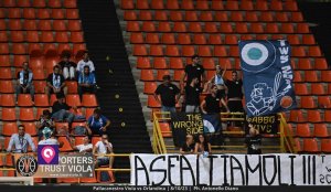 Viola Orlandina (118)