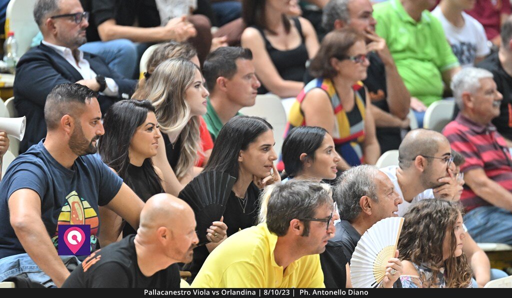 Viola Orlandina (124)