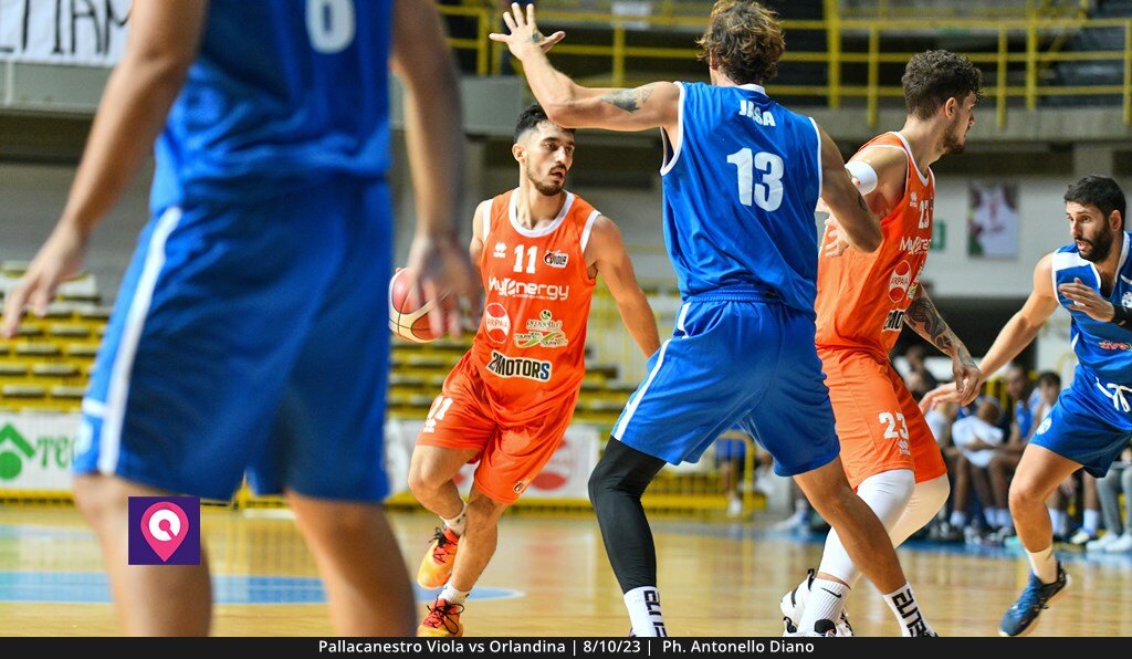 Viola Orlandina (13)