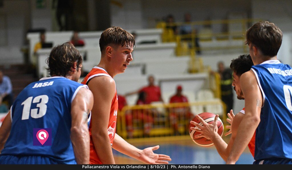 Viola Orlandina (138)