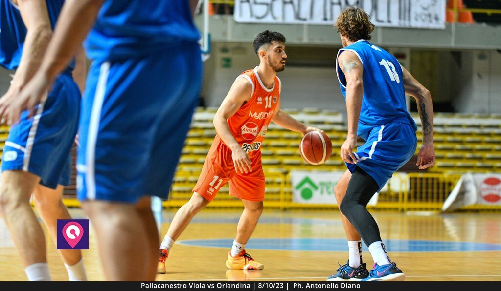 Viola Orlandina (14)