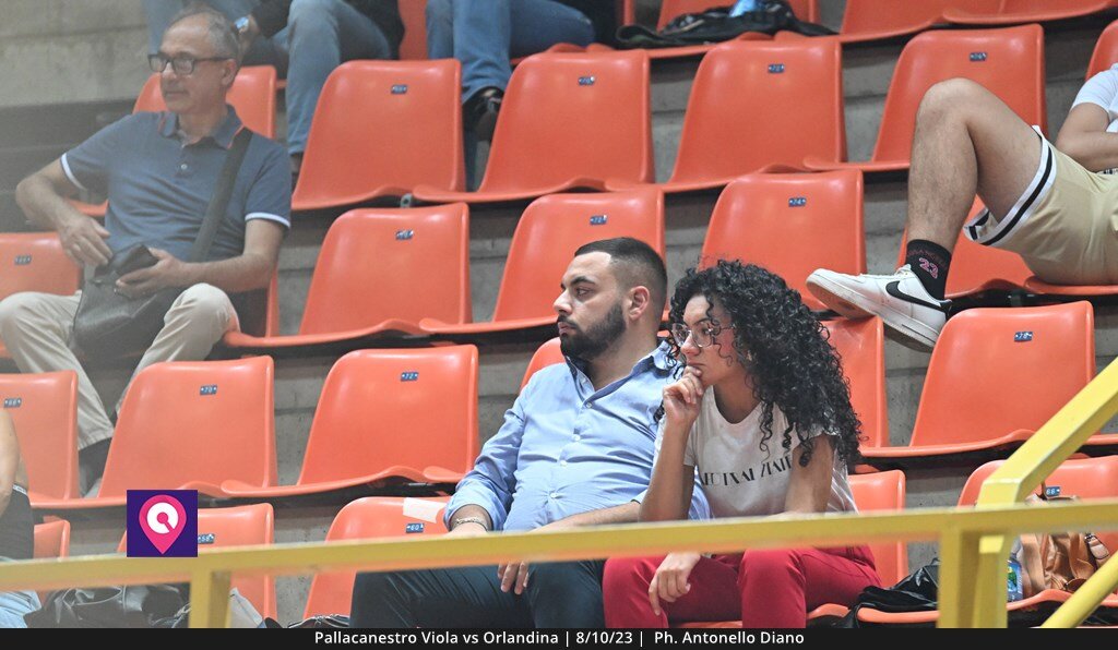 Viola Orlandina (141)