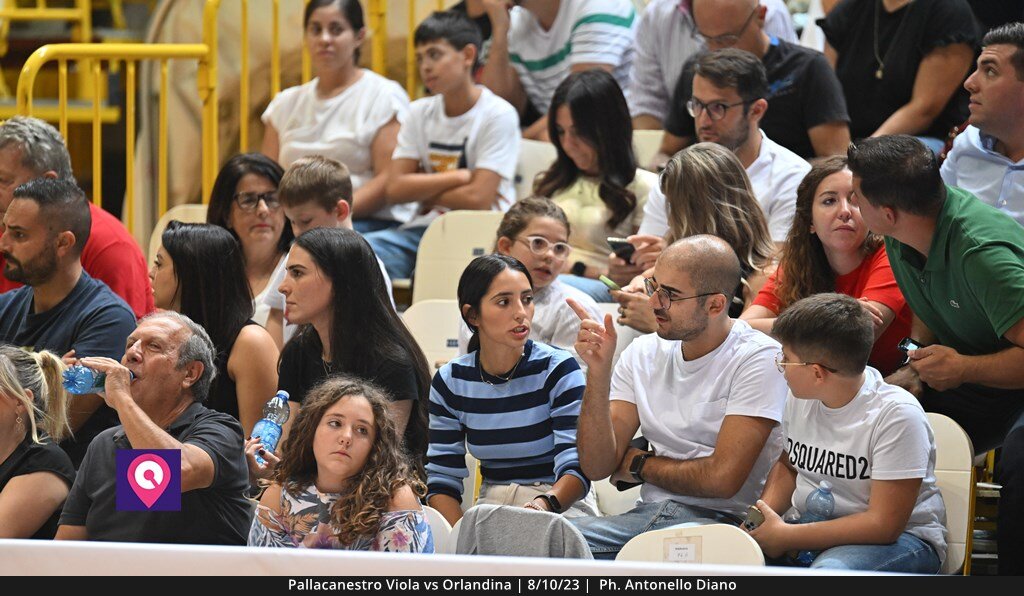 Viola Orlandina (143)