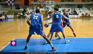 Viola Orlandina (146)