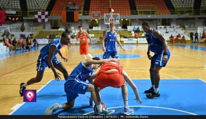 Viola Orlandina (147)