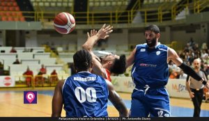 Viola Orlandina (148)