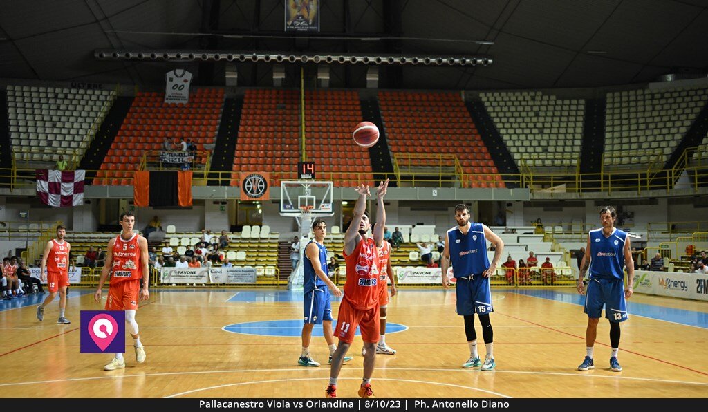 Viola Orlandina (149)