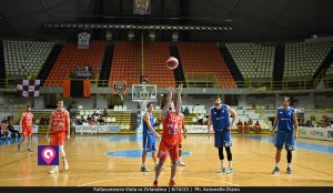 Viola Orlandina (149)