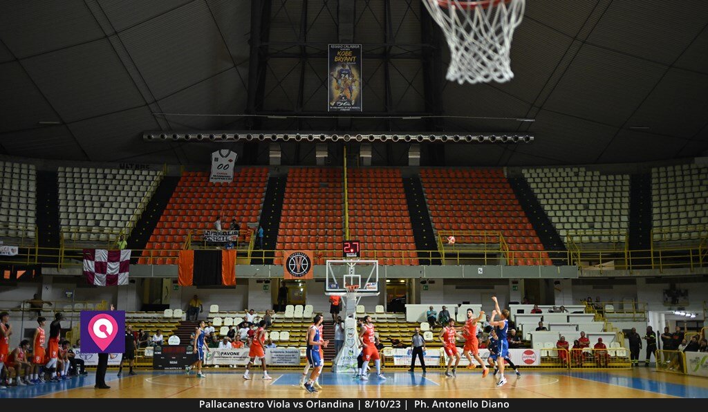 Viola Orlandina (150)