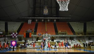 Viola Orlandina (150)