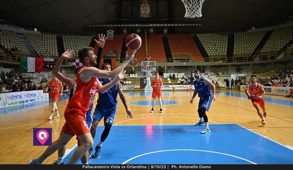 Viola Orlandina (152)