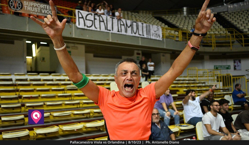 Viola Orlandina (154)