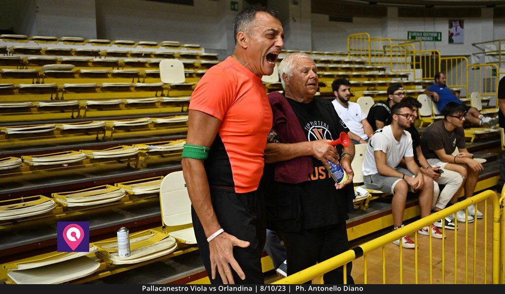 Viola Orlandina (155)