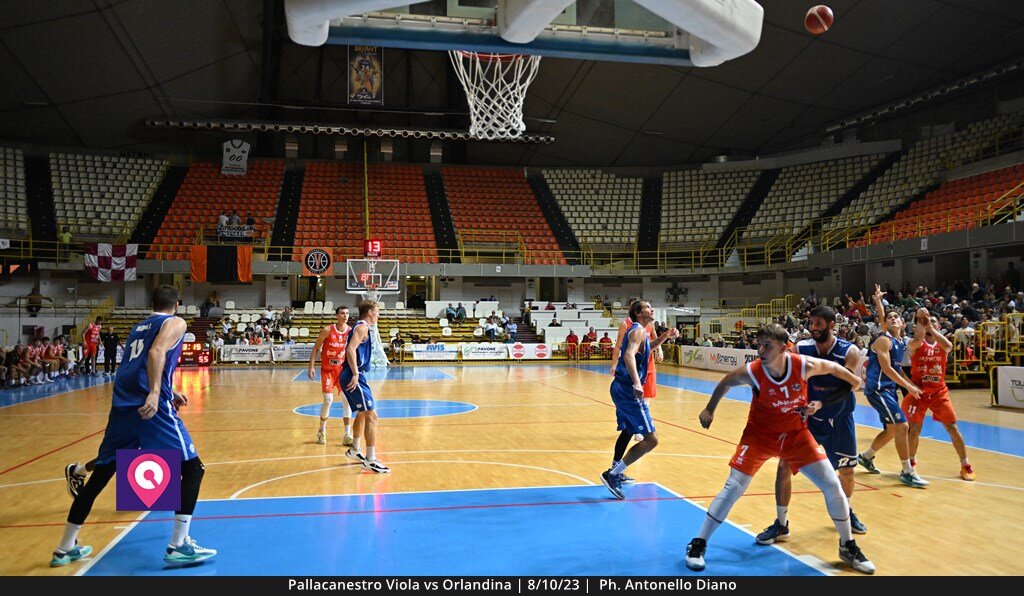 Viola Orlandina (156)