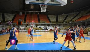 Viola Orlandina (156)