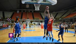 Viola Orlandina (157)