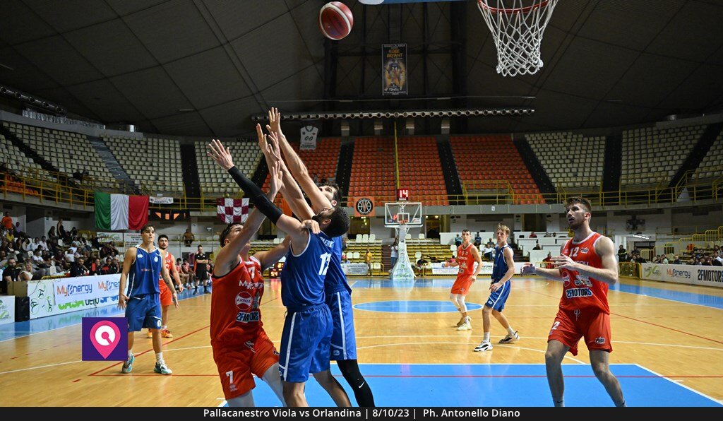 Viola Orlandina (158)