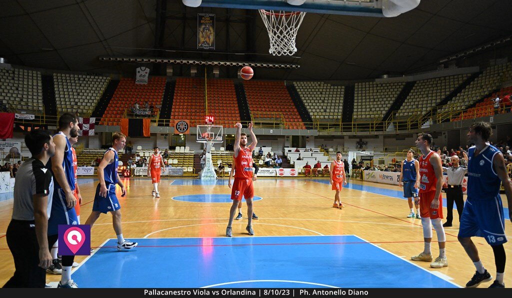 Viola Orlandina (159)