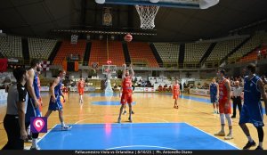 Viola Orlandina (159)