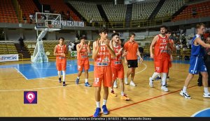 Viola Orlandina (164)