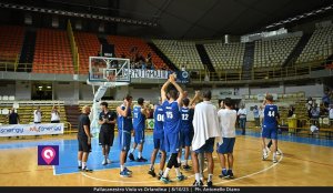 Viola Orlandina (167)