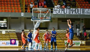 Viola Orlandina (17)