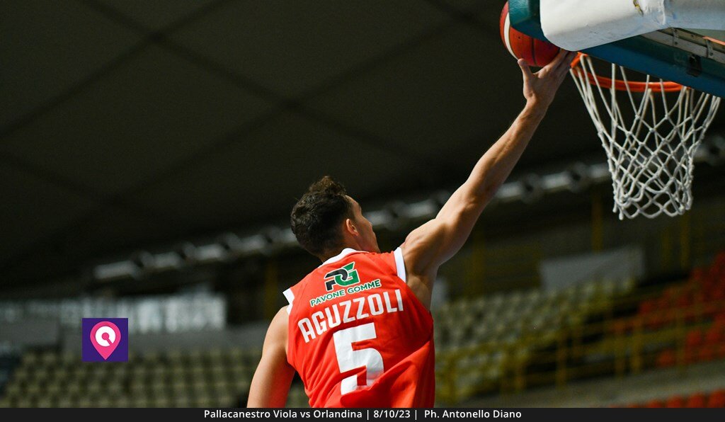 Viola Orlandina (21)