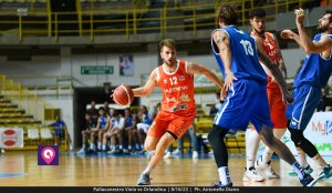 Viola Orlandina (24)